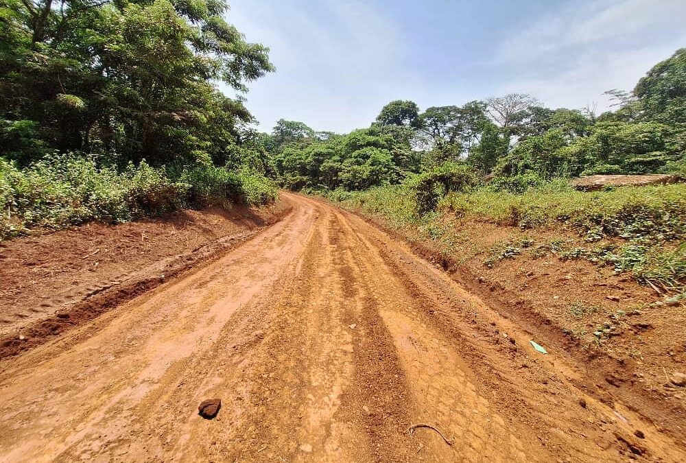 route-Bamendjou-1000×675